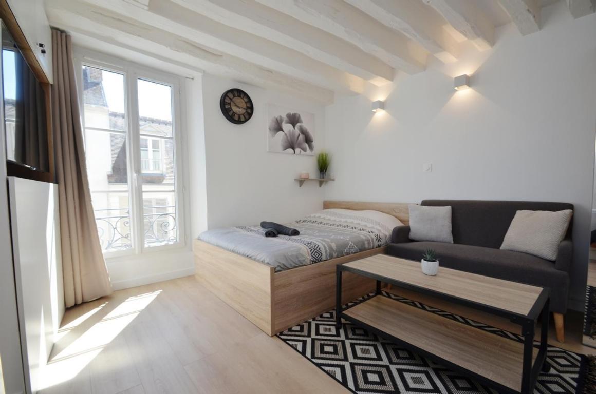 Appartamento Le Petit France - Hyper Centre De Fontainebleau - Proche Insead Esterno foto